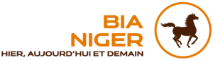 BIA-NIGER-LOGO